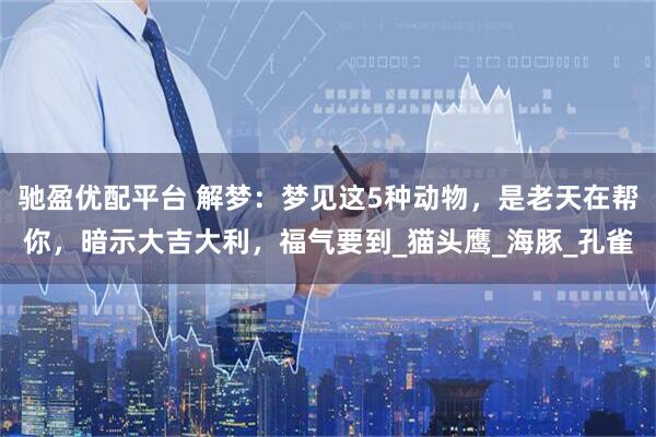 驰盈优配平台 解梦：梦见这5种动物，是老天在帮你，暗示大吉大利，福气要到_猫头鹰_海豚_孔雀