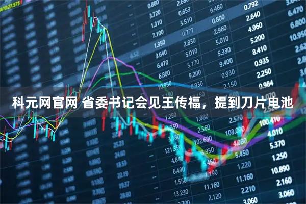 科元网官网 省委书记会见王传福，提到刀片电池